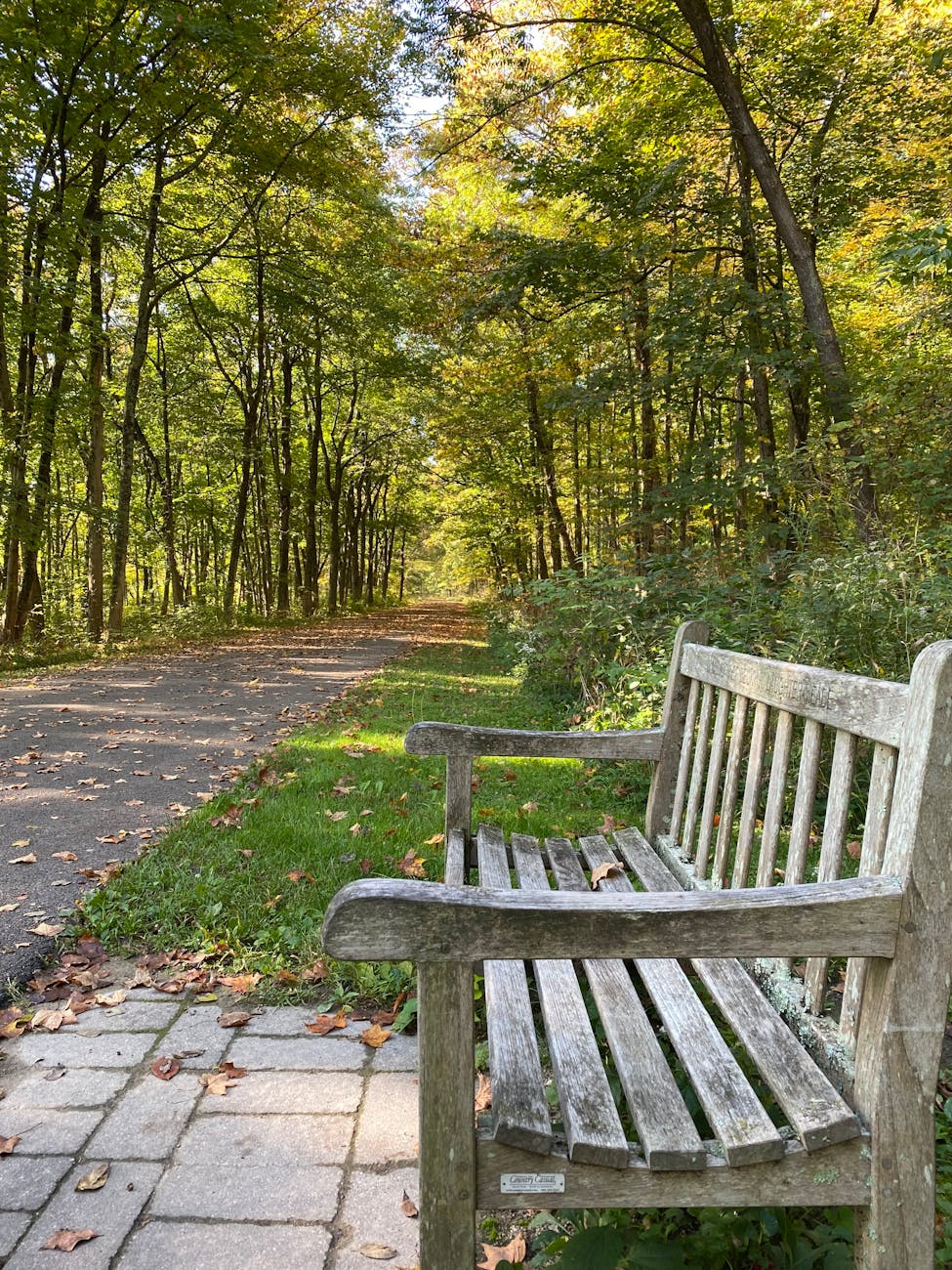 Stresszmentes tanévkezdés érthetően magyarázó matematika tanárral. Matek támogatás.